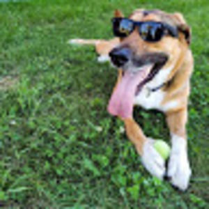 Meet your Posher, Shanyn